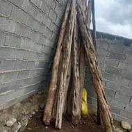 جوب خوبی به زبان ترکمنی آرچه
