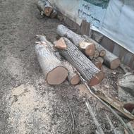 چوب تخته گردو ،الوار گردو ، ابعادی گردو