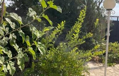 خونه باغ ویلایی جاده کفترک