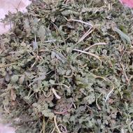 سبزی کوه تازه