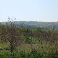 زمین مازندران ساری ابندون سر روستای مرمت