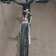 دوچرخه حرفه ای