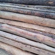 خریدار انواع چوب خشک وخیس