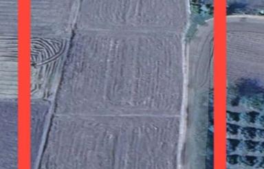 4400متر زمین کشاورزی واقع در روستای شورابسر