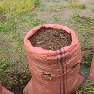 خدمات کاشت باغچه و طراحی گلخانه توسط خانم