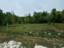 فروش زمین مسکونی 290 متر در مرکز شهر در شیپور