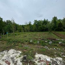 فروش زمین مسکونی 290 متر در مرکز شهر