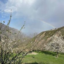 زمین 127متری داخل بافت بامدارک تکمیل درنمارستاق