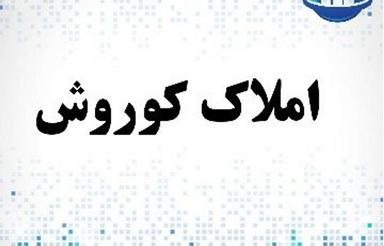 مشارکت در ساخت