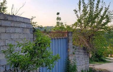 زمین بافت دویست متری پهنه کلا جنوبی بعد شکتا