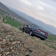 سمند خاکستری