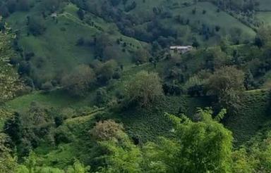 فروش زمین مسکونی(796) متری،کوهستانی