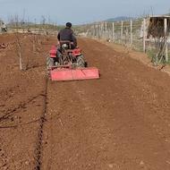 شخم زدن باغ با تراکتور کمرشکن باغی