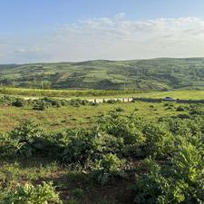 1200متر زمین کشاورزی جفت بافت