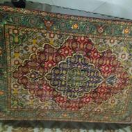 زرع چارک ماهی مارال 50رج