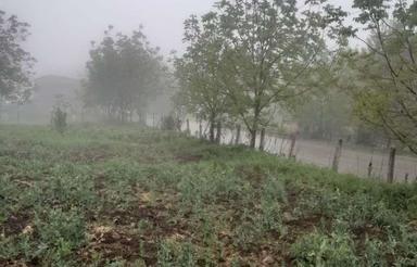 500متر واقع منطقه جنگلی روستای خرم چماز