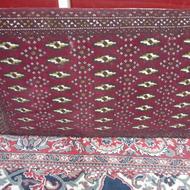 یک جفت پشتی مخته