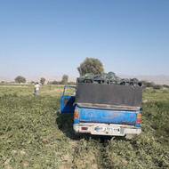 حمل بار رودان / نیسان کرایه