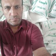فروش برنج دمسیاه برنج طارم فجر برنج هاشمی
