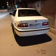 سمندسفیدصدفی