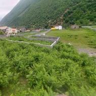 280 متر زمین در منطقه ای سرسبز و خوش اب و هوا روستای لاویج