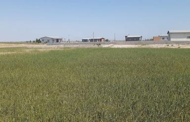 زمین مسکونی روستایی اطراف آق قلا
