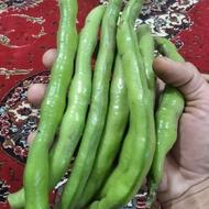 باقلا فرنگی