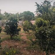 خانه باغ ویلایی