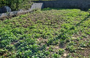 254 متر زمین ساحلی سنددارو کاربری مسکونی