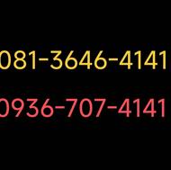 081-3646-4141
