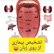 زبانشناسی و اصلاح سبک زندگی