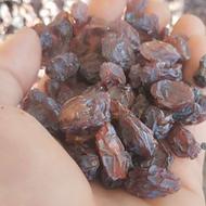 مویز دم گیری شده مخصوص