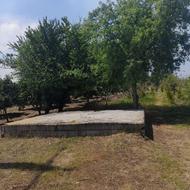 باغ برجاده اصلی