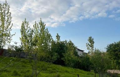 فروش زمین مسکونی 500 متر در شکتا