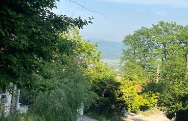 فروش زمین مسکونی 450 متر در شکتا