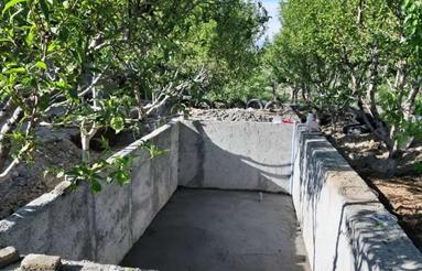 باغچه چهاردیواری