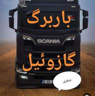 باربرگ‌ حقیقی