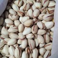 پیوندزدن نهال پسته