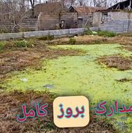 فروش زمین مسکونی 240 متر در مالفجان