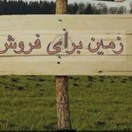 فروش زمین 5000 متری
