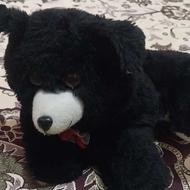گربه اسباب بازی