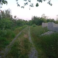 فروش 8 هکتار جنگلی/قابل شهرک سازی /سند دار/