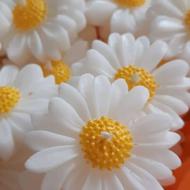 شمع برای گیفت عروسی و هدیه
