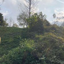 فروش زمین مسکونی 603 متری در چلک لاهیجان