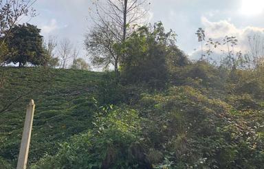 فروش زمین مسکونی 603 متری در چلک لاهیجان