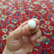سنگ الماس آسیاب