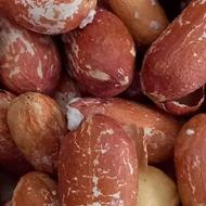 بادام زمینی آستانه
