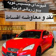 هسوندا جنسیس 2010 در حد