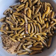 خیارشور دبه ای (درجه یک)