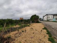 فروش زمین تجاری 1000 متری بر اصلی در شیپور